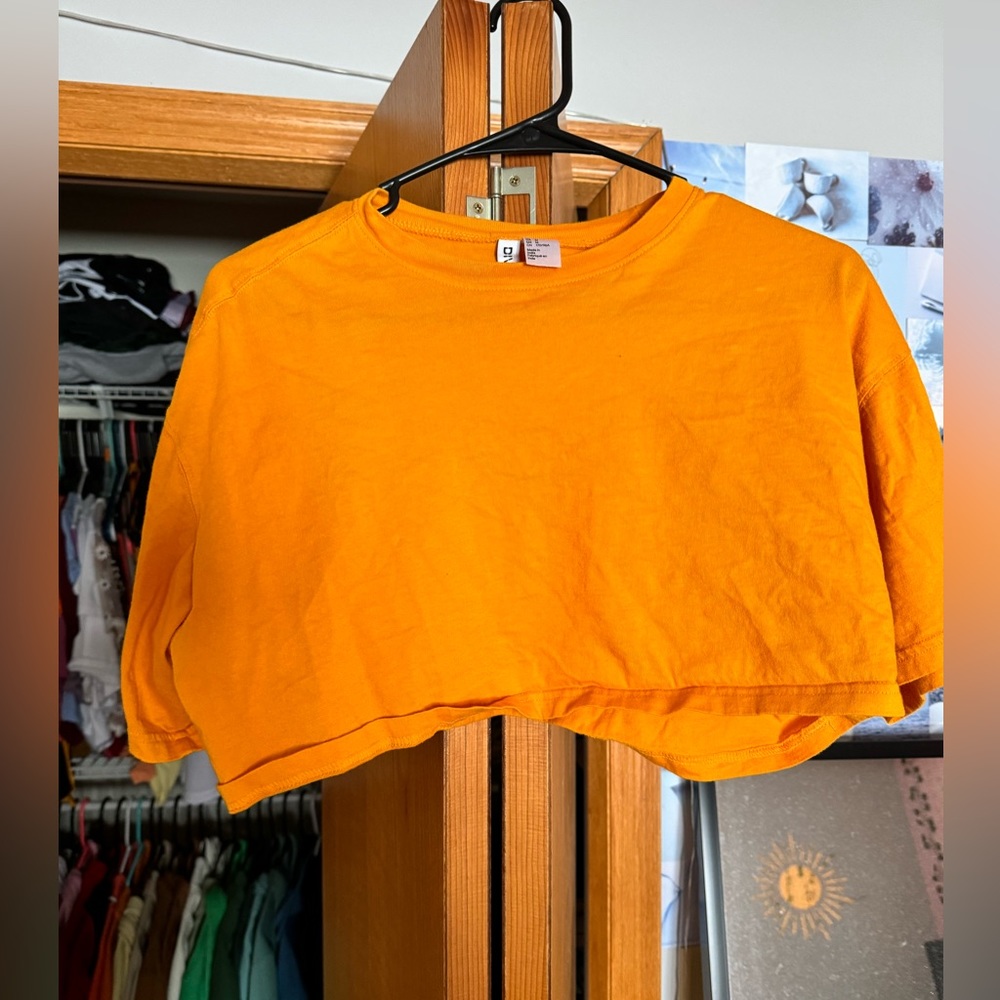 Divided crop top
